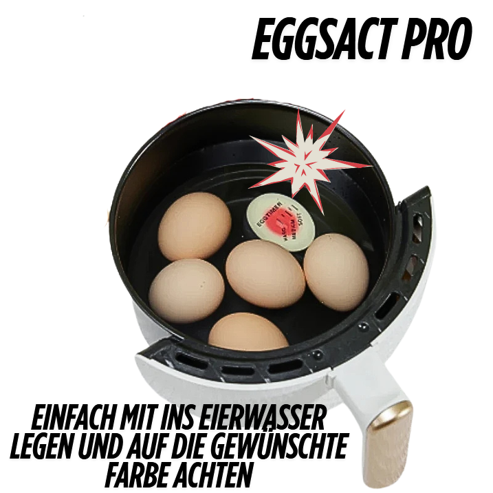 Eggsact Pro – Dein Style-Upgrade fürs Frühstück!